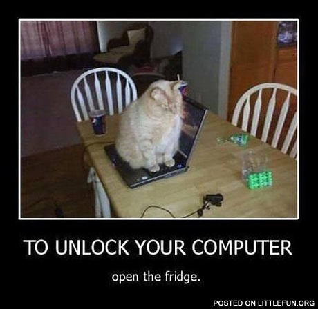 To unlock your computer open the fridge
