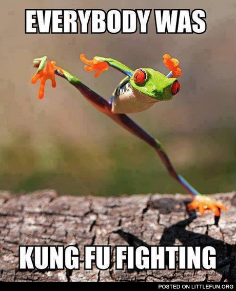 Everybody was kung fu fighting frog