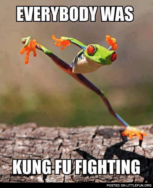 Everybody was kung fu fighting frog