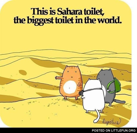 This is Sahara toilet, the biggest toilet in the world
