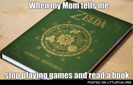 Zelda book