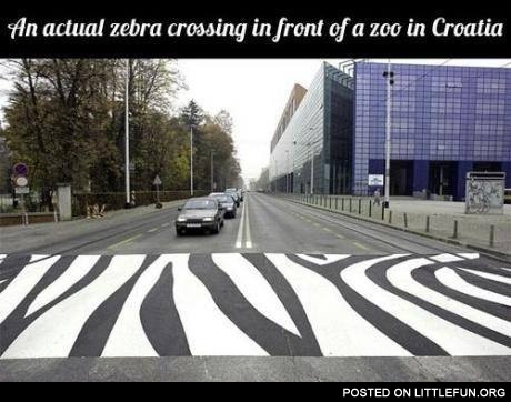Zebra crossing in Croatia