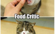 Food critic
