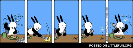 Buni and a fly