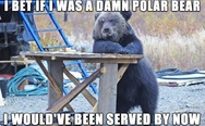 I bet if I was a polar bear I would have been served by now