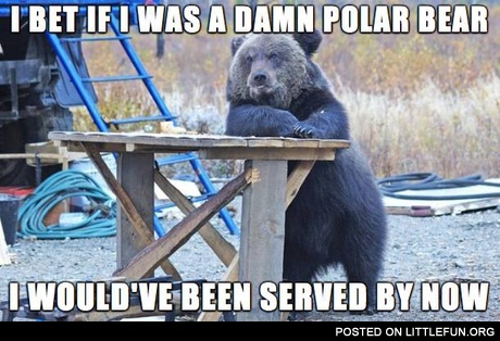 I bet if I was a polar bear I would have been served by now