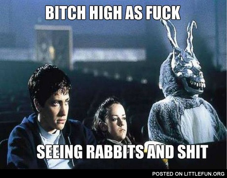 B*tch high as f**k, seeing rabbits and sh*t