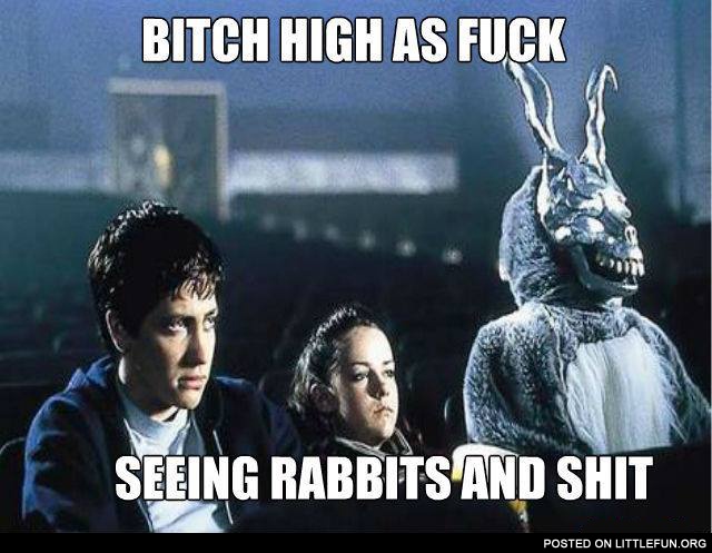 B*tch high as f**k, seeing rabbits and sh*t