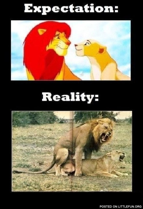 Expectation vs. Reality. Lions.