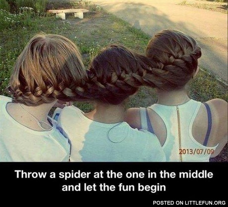 Throw a spider at the one in the middle and let the fun begin