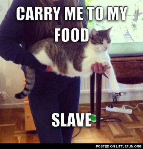 Carry me to my food, slave