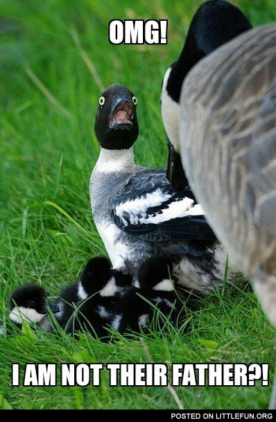 OMG! I'm not their father!