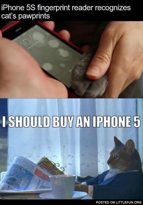I should buy an iPhone 5