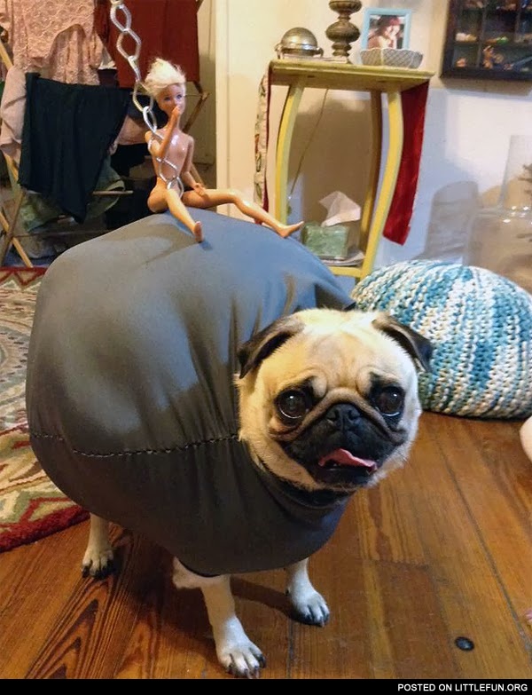 Miley Cyrus wrecking ball, a pug and a Barbie