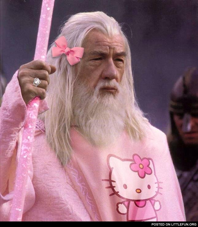 Gandalf in a Hello Kitty costume