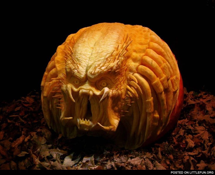 Predator pumpkin
