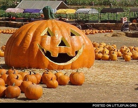 Happy pumpkin