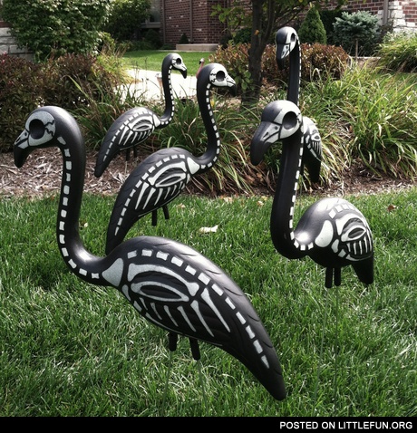 Halloween flamingos