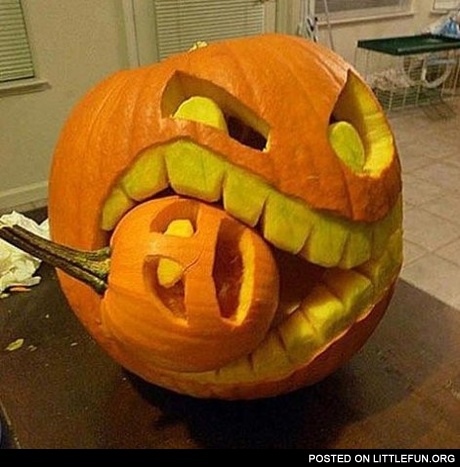 Pumpkin bites a pumpkin