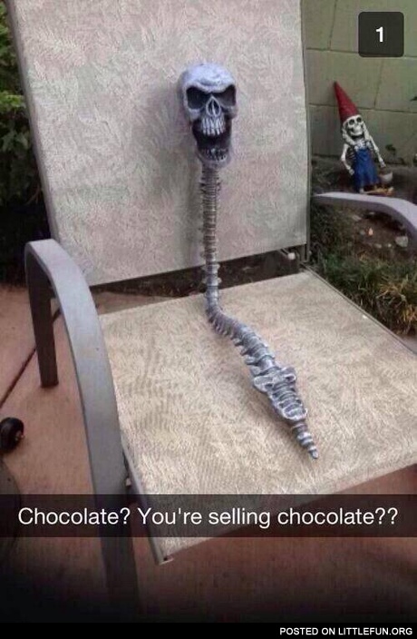 Chocolate? You are selling chocolate?