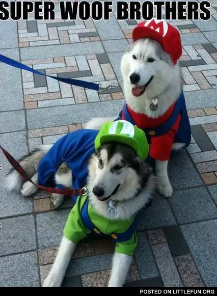 Super woof brothers