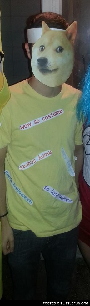 Doge Halloween costume