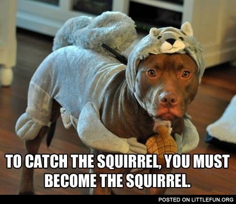 To catch the squirrel, you must become the squirrel