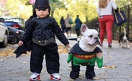 A kid and a dog in batman and robin costumes
