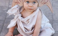 Baby in a Doby costume