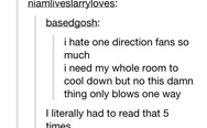 I hate One Direction fans so much