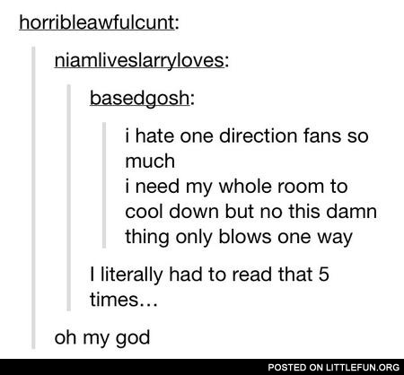 I hate One Direction fans so much