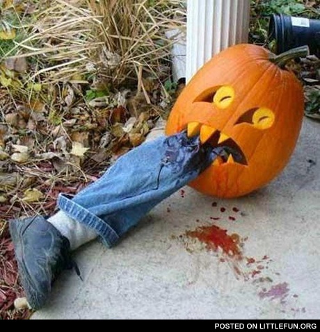 Pumpkin eating a leg