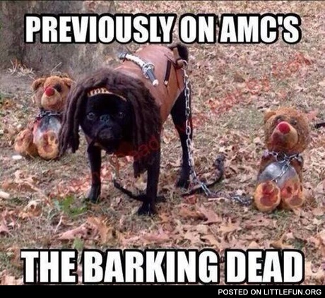 The barking dead