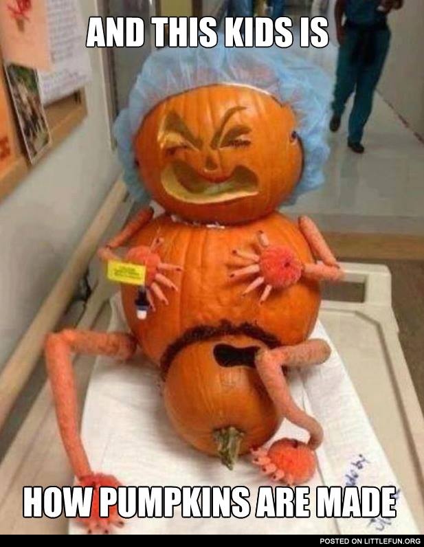 This is how pumpkins are made