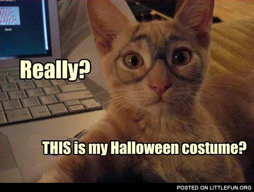 Really? This is my Halloween costume?