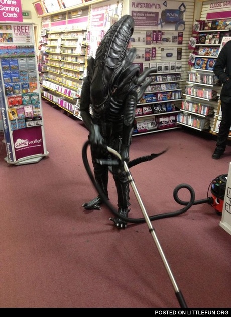 Damn illegal aliens stealing our jobs