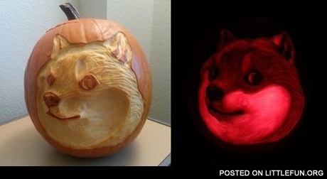 Doge pumpkin