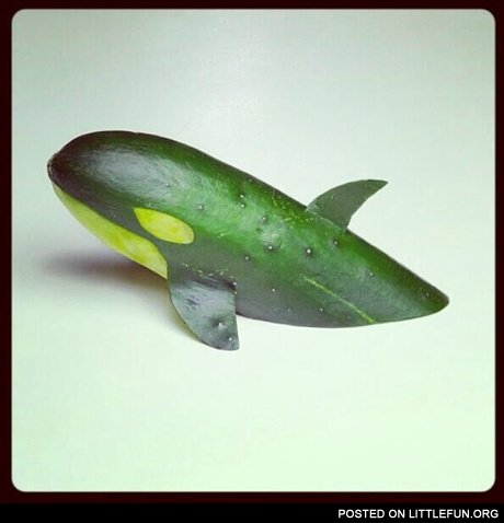 Cuc*mber whale