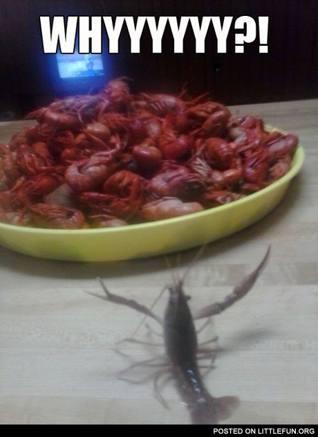 Mom? Dad? Betty? Poor shrimp.