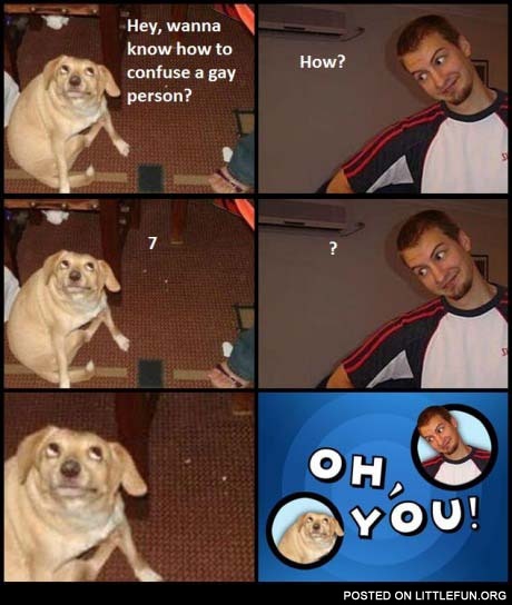 Wanna know how to confuse a gay person? Oh you dog.
