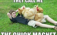 The chick magnet