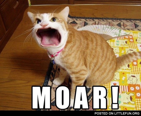 Moar cat