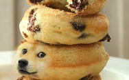 Doge cookies