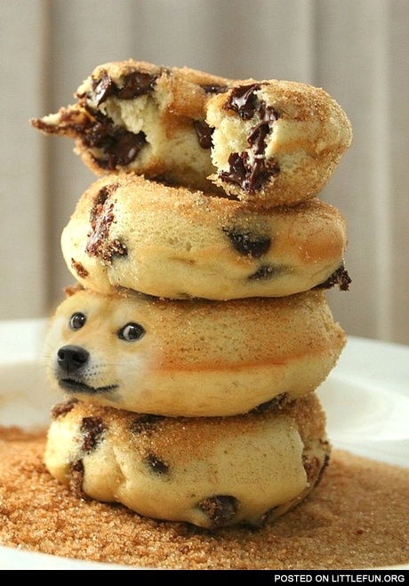 Doge cookies