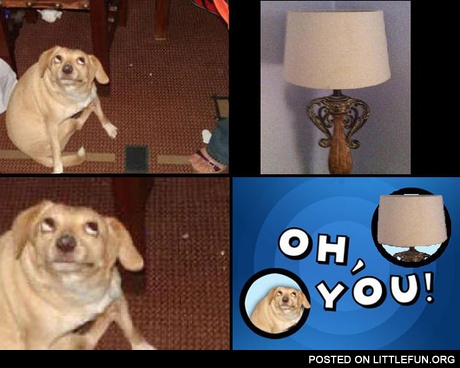 Oh you lamp
