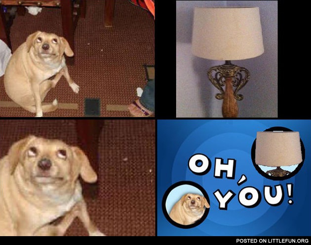 Oh you lamp