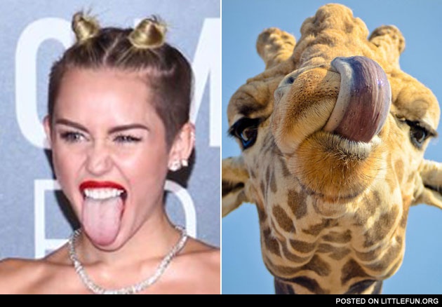 Miley Cyrus' and giraffe's tongue