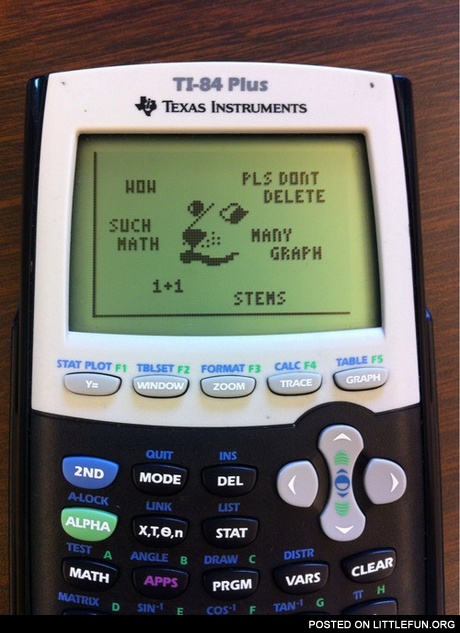 Doge in a calculator