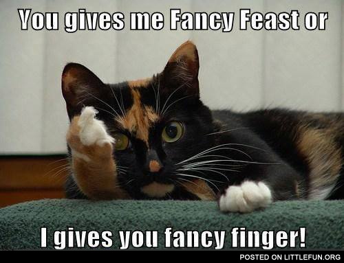 You gives me fancy feast or I gives you fancy finger