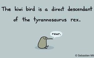 The kiwi bird is a direct descendant of the tyrannosaurus rex